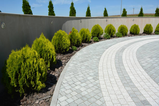 Best Custom Driveway Pavers  in Cypress, CA